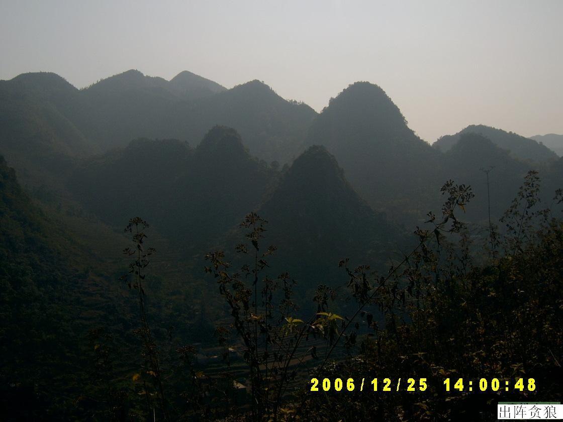 20081225_611b2a07294744c04fbcg7gJ9Ea7HsfS[1].jpg